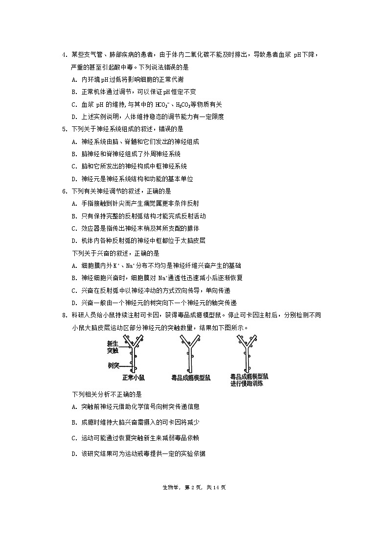 2024北京市中国人民大学附中高二上学期期中考试生物无答案第2页