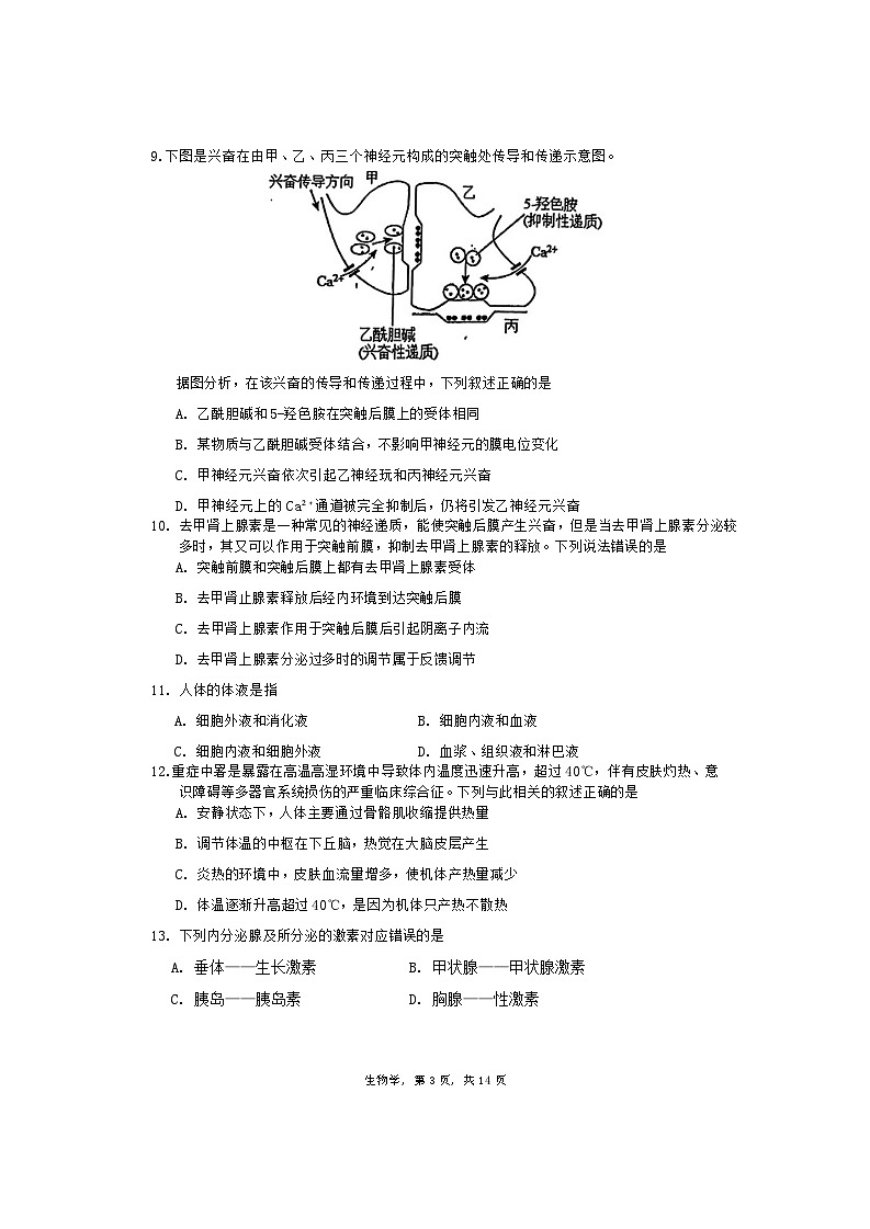 2024北京市中国人民大学附中高二上学期期中考试生物无答案第3页