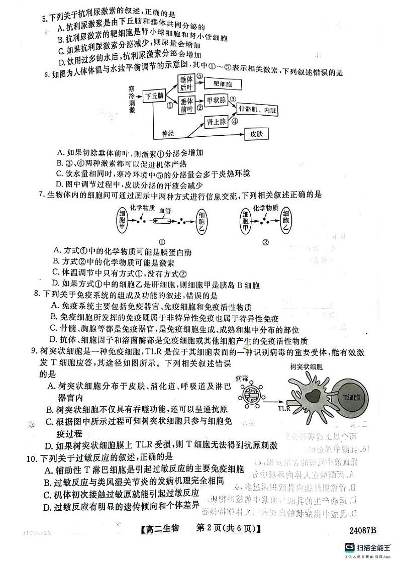 2024四平普通高中高二上学期期中考试生物PDF版含答案第2页