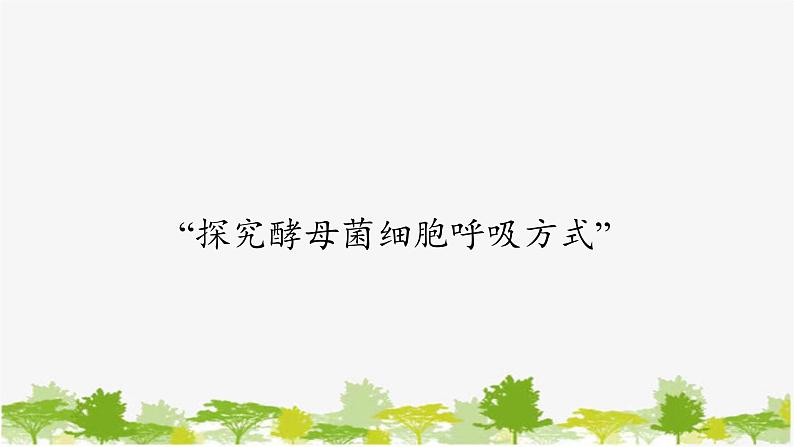 高中生物学人教版(2019)必修1 第5章 细胞呼吸的原理和应用课件第3页