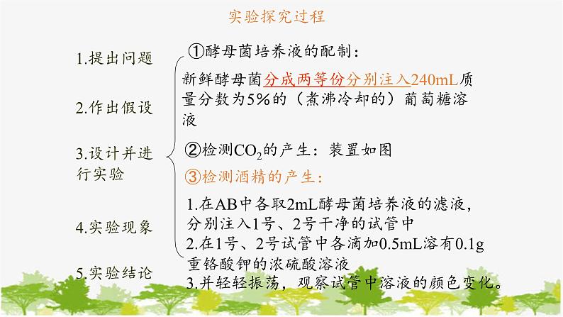 高中生物学人教版(2019)必修1 第5章 细胞呼吸的原理和应用课件第6页