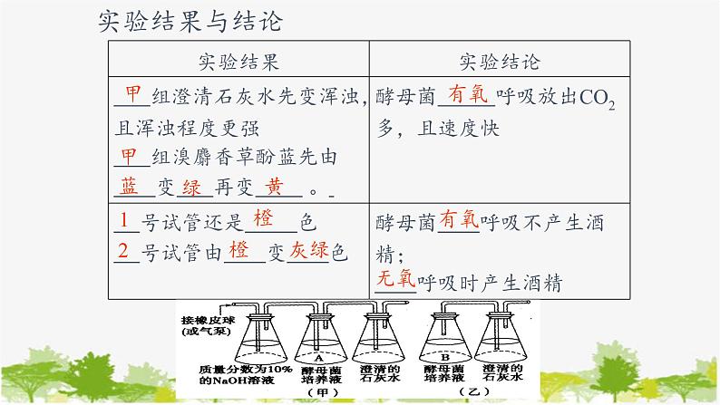 高中生物学人教版(2019)必修1 第5章 细胞呼吸的原理和应用课件第7页