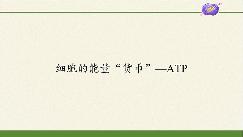 高中生物学人教版(2019)必修1 第5章 细胞的能量“货币”—ATP课件第1页