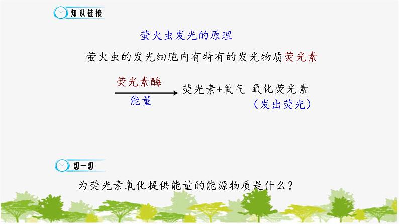 高中生物学人教版(2019)必修1 第5章 细胞的能量“货币”—ATP课件第3页