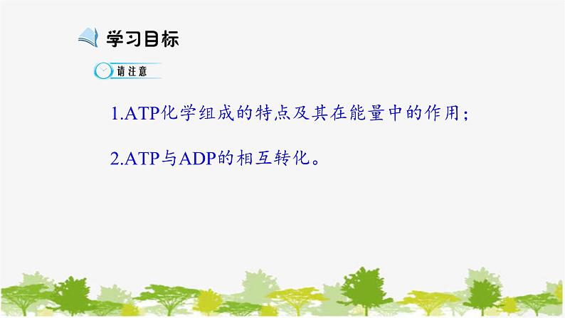 高中生物学人教版(2019)必修1 第5章 细胞的能量“货币”—ATP课件第6页