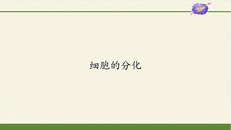 高中生物学人教版(2019)必修1 第6章 细胞的分化课件01