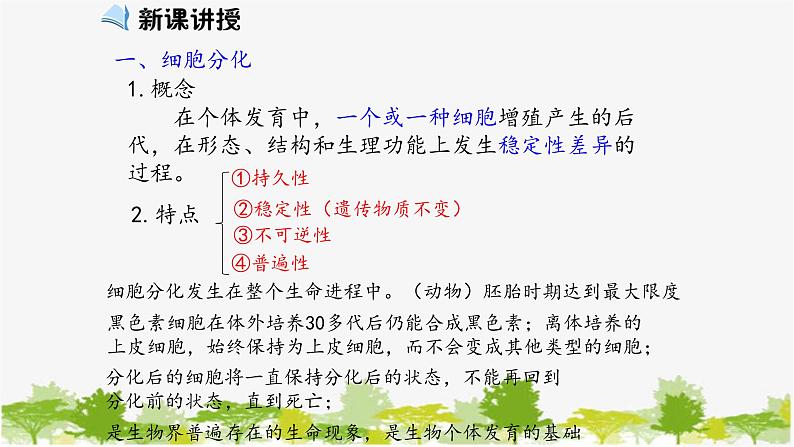 高中生物学人教版(2019)必修1 第6章 细胞的分化课件03
