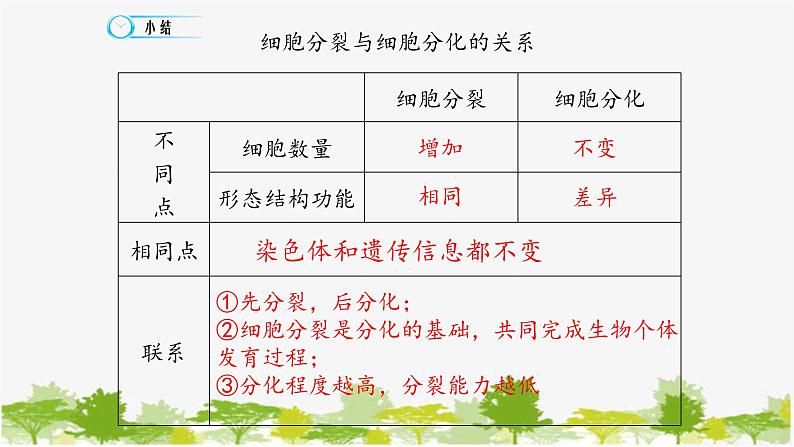 高中生物学人教版(2019)必修1 第6章 细胞的分化课件07