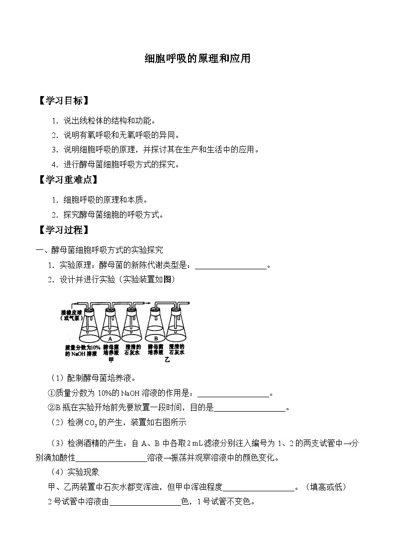 高中生物学人教版(2019)必修1 第5章 细胞呼吸的原理和应用学案01