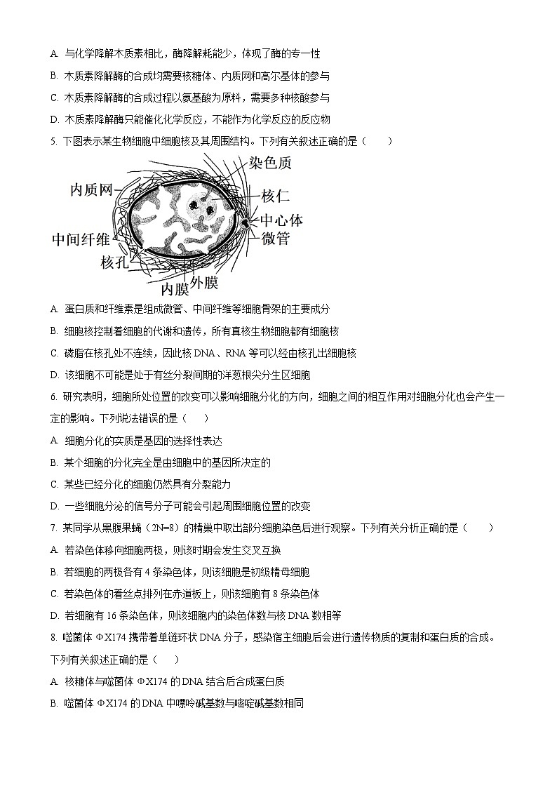 精品解析:辽宁省朝阳地区2023-2024学年高三上学期期中生物试题(原卷版)第2页