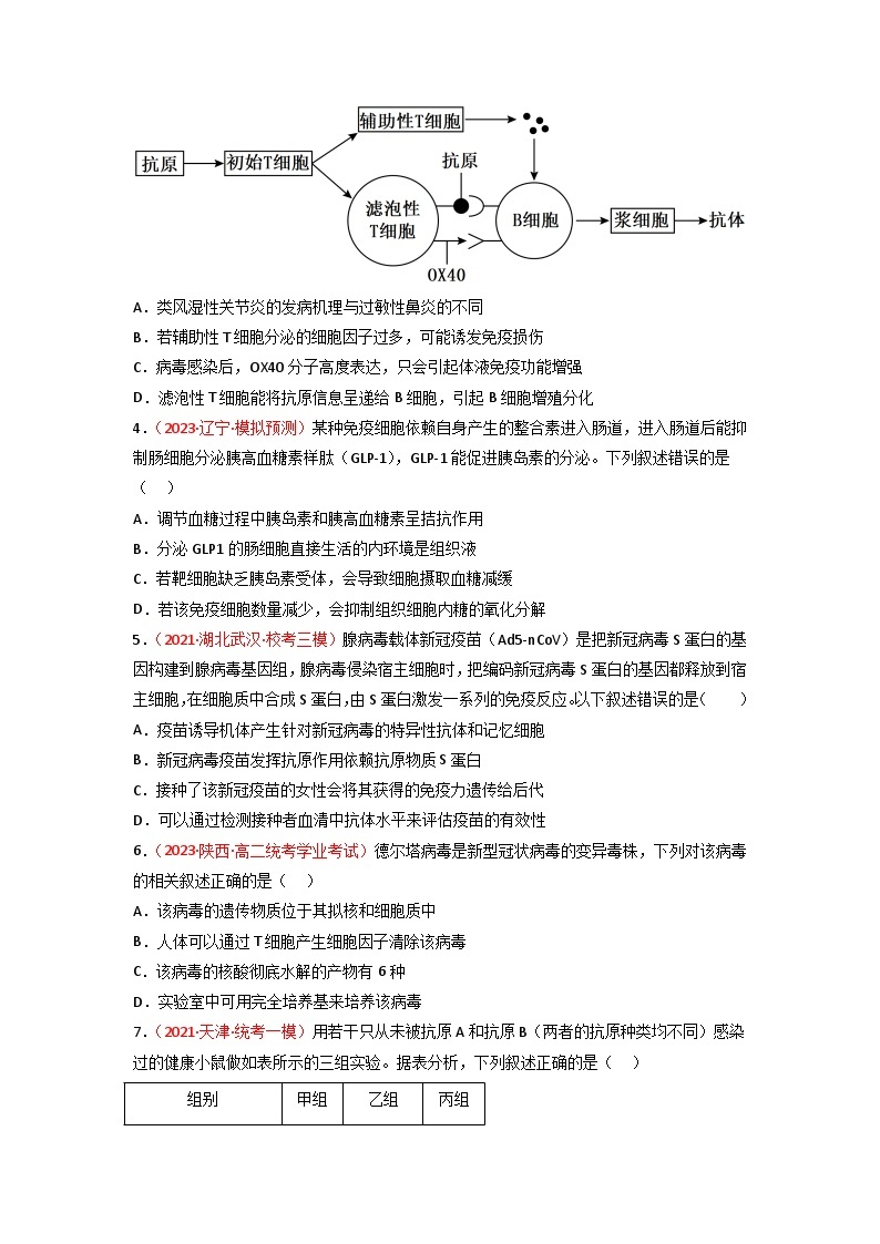 2024年高考生物一轮复习重难点训练 专题11 免疫调节试题（含答案）02