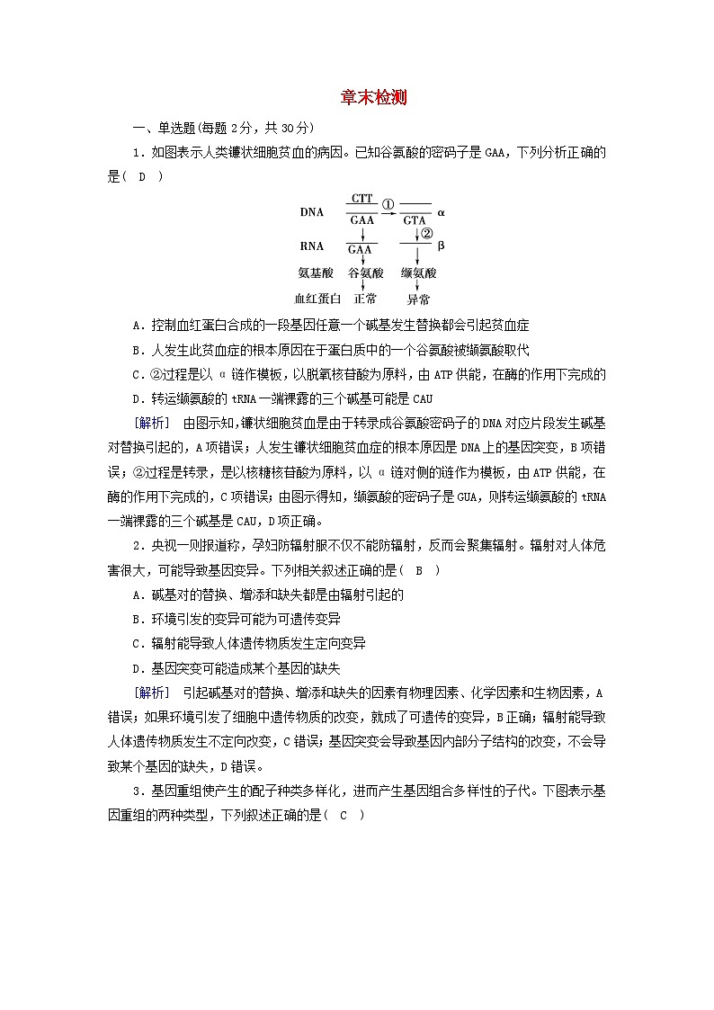 新教材2023年高中生物第5章基因突变及其他变异章末检测新人教版必修2第1页