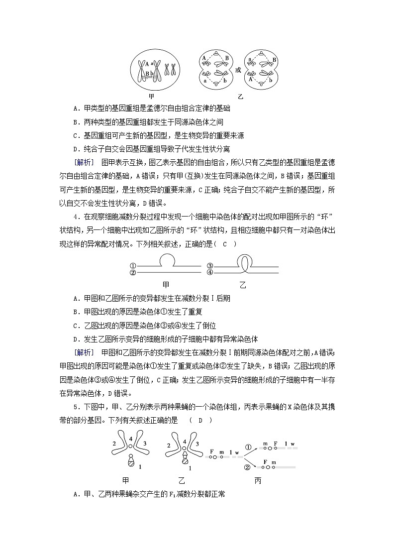 新教材2023年高中生物第5章基因突变及其他变异章末检测新人教版必修2第2页