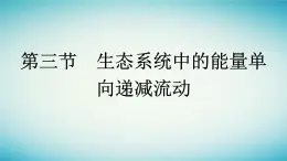 浙江专版2023_2024学年新教材高中生物第3章生态系统第3节生态系统中的能量单向递减流动课件浙科版选择性必修2