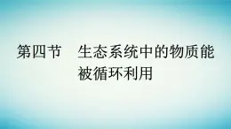 浙江专版2023_2024学年新教材高中生物第3章生态系统第4节生态系统中的物质能被循环利用课件浙科版选择性必修2