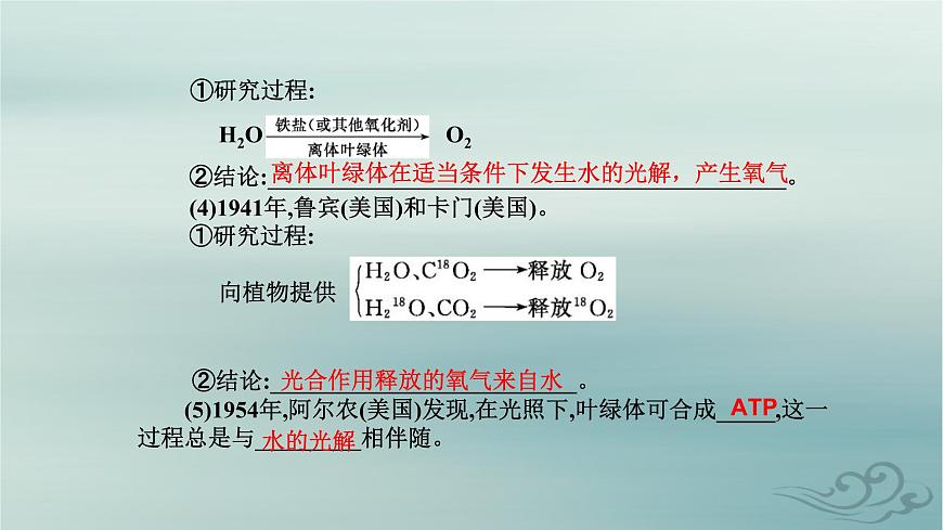 2023_2024學年新教材高中生物第5章細胞的能量供應(yīng)和利用第4節(jié)光合作用與能量轉(zhuǎn)化第2課時光合作用的原理和應(yīng)用課件新人教版必修1第5頁