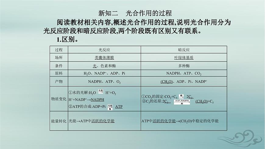 2023_2024學年新教材高中生物第5章細胞的能量供應(yīng)和利用第4節(jié)光合作用與能量轉(zhuǎn)化第2課時光合作用的原理和應(yīng)用課件新人教版必修1第6頁