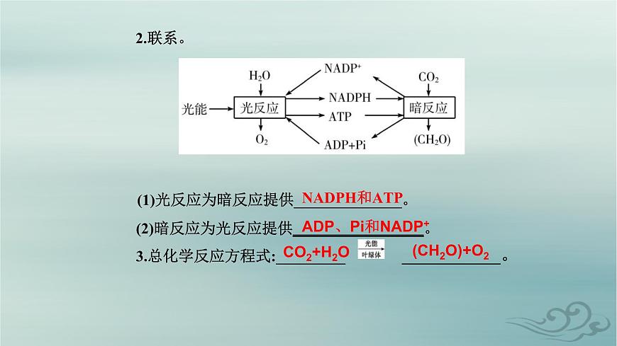 2023_2024學年新教材高中生物第5章細胞的能量供應(yīng)和利用第4節(jié)光合作用與能量轉(zhuǎn)化第2課時光合作用的原理和應(yīng)用課件新人教版必修1第7頁