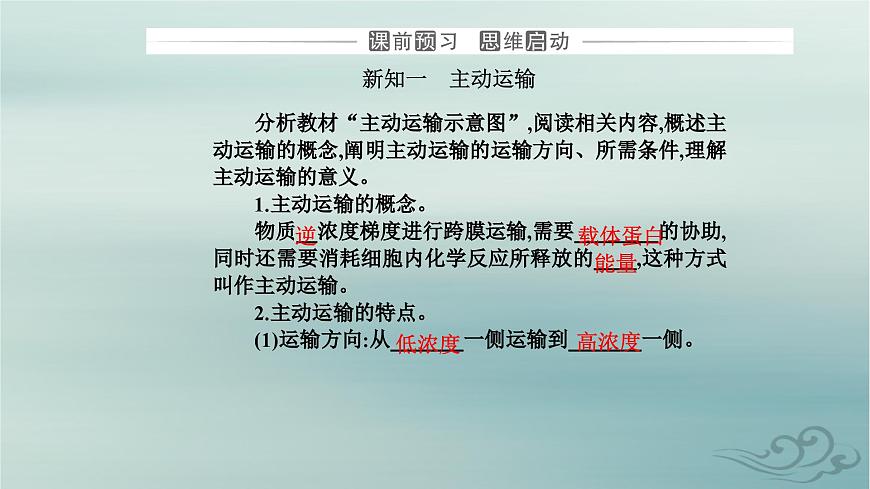 2023_2024學(xué)年新教材高中生物第4章細(xì)胞的物質(zhì)輸入和輸出第2節(jié)主動運(yùn)輸與胞吞胞吐課件新人教版必修1第3頁