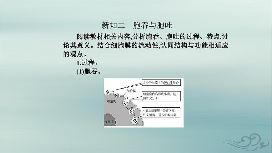 2023_2024學(xué)年新教材高中生物第4章細(xì)胞的物質(zhì)輸入和輸出第2節(jié)主動運(yùn)輸與胞吞胞吐課件新人教版必修1第5頁