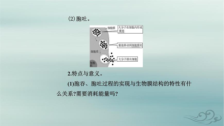 2023_2024學(xué)年新教材高中生物第4章細(xì)胞的物質(zhì)輸入和輸出第2節(jié)主動運(yùn)輸與胞吞胞吐課件新人教版必修1第6頁