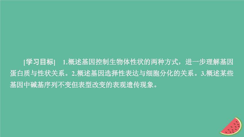 2023年新教材高中生物第4章基因的表达第2节基因表达与性状的关系课件新人教版必修2第2页