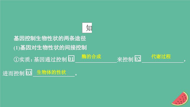 2023年新教材高中生物第4章基因的表达第2节基因表达与性状的关系课件新人教版必修2第4页