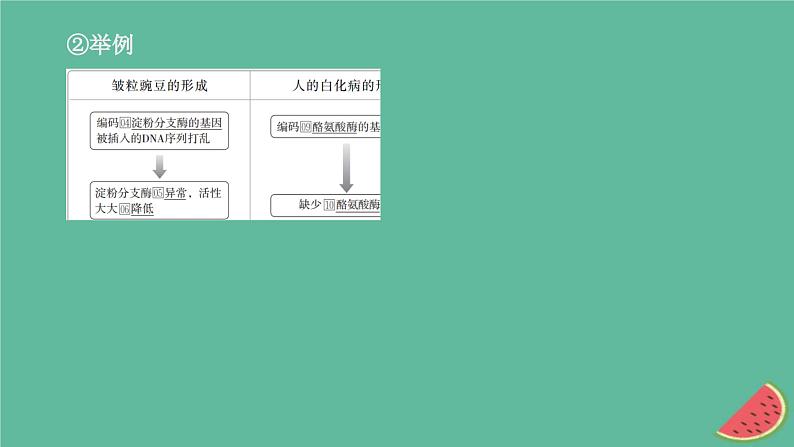 2023年新教材高中生物第4章基因的表达第2节基因表达与性状的关系课件新人教版必修2第5页