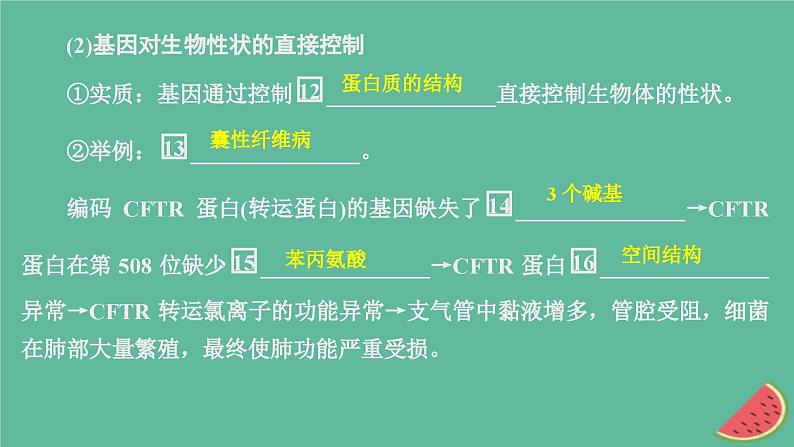 2023年新教材高中生物第4章基因的表达第2节基因表达与性状的关系课件新人教版必修2第6页