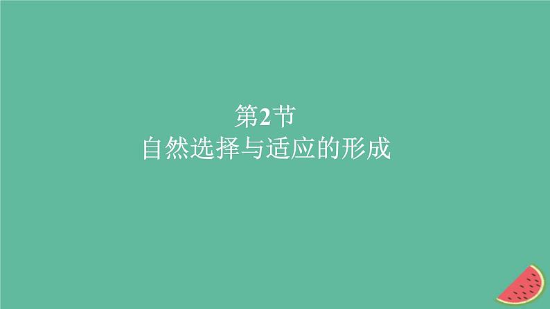 2023年新教材高中生物第6章生物的进化第2节自然选择与适应的形成课件新人教版必修2第1页