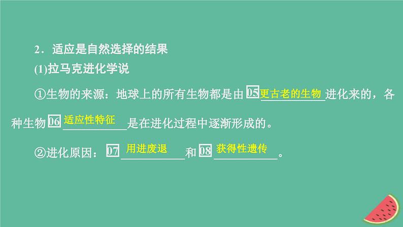 2023年新教材高中生物第6章生物的进化第2节自然选择与适应的形成课件新人教版必修2第6页