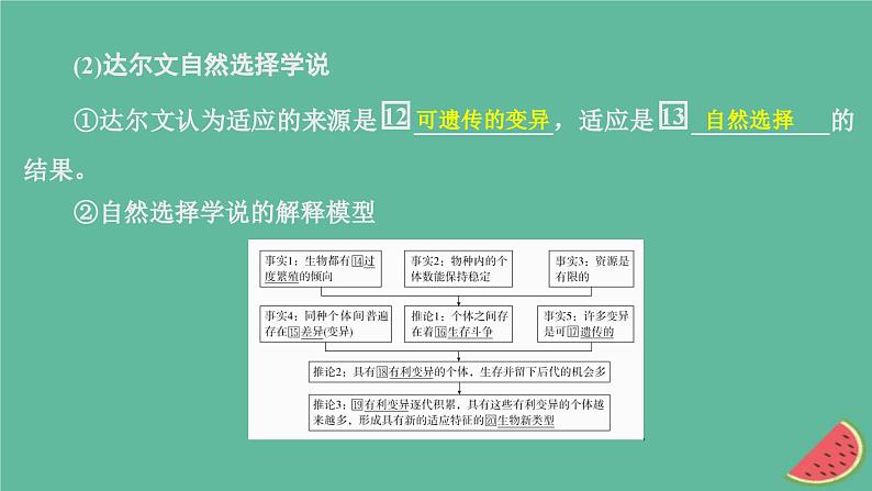 2023年新教材高中生物第6章生物的进化第2节自然选择与适应的形成课件新人教版必修2第8页