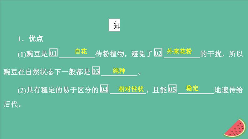 2023年新教材高中生物第1章遗传因子的发现第1节孟德尔的豌豆杂交实验一第1课时一对相对性状的杂交实验过程和解释课件新人教版必修204