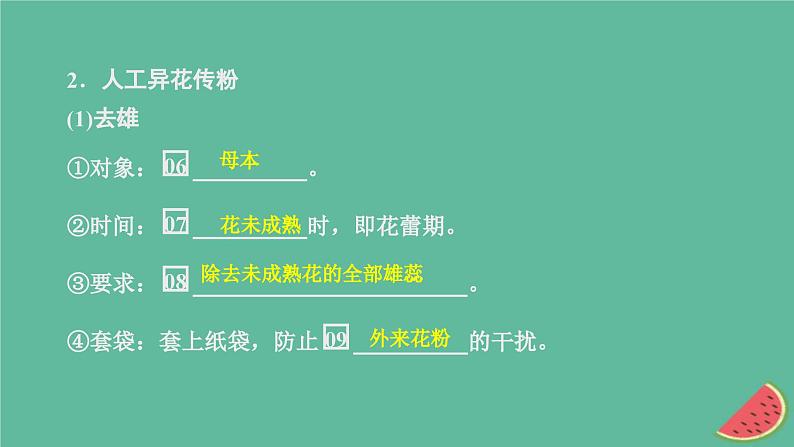 2023年新教材高中生物第1章遗传因子的发现第1节孟德尔的豌豆杂交实验一第1课时一对相对性状的杂交实验过程和解释课件新人教版必修205
