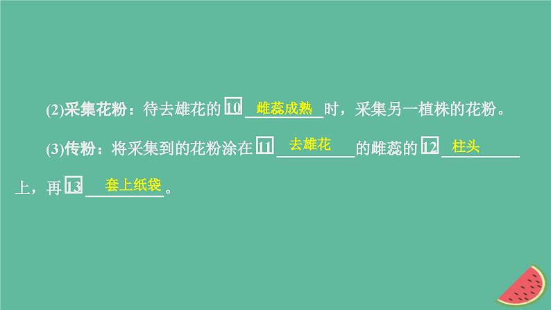 2023年新教材高中生物第1章遗传因子的发现第1节孟德尔的豌豆杂交实验一第1课时一对相对性状的杂交实验过程和解释课件新人教版必修206