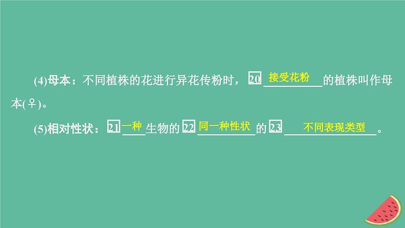 2023年新教材高中生物第1章遗传因子的发现第1节孟德尔的豌豆杂交实验一第1课时一对相对性状的杂交实验过程和解释课件新人教版必修208