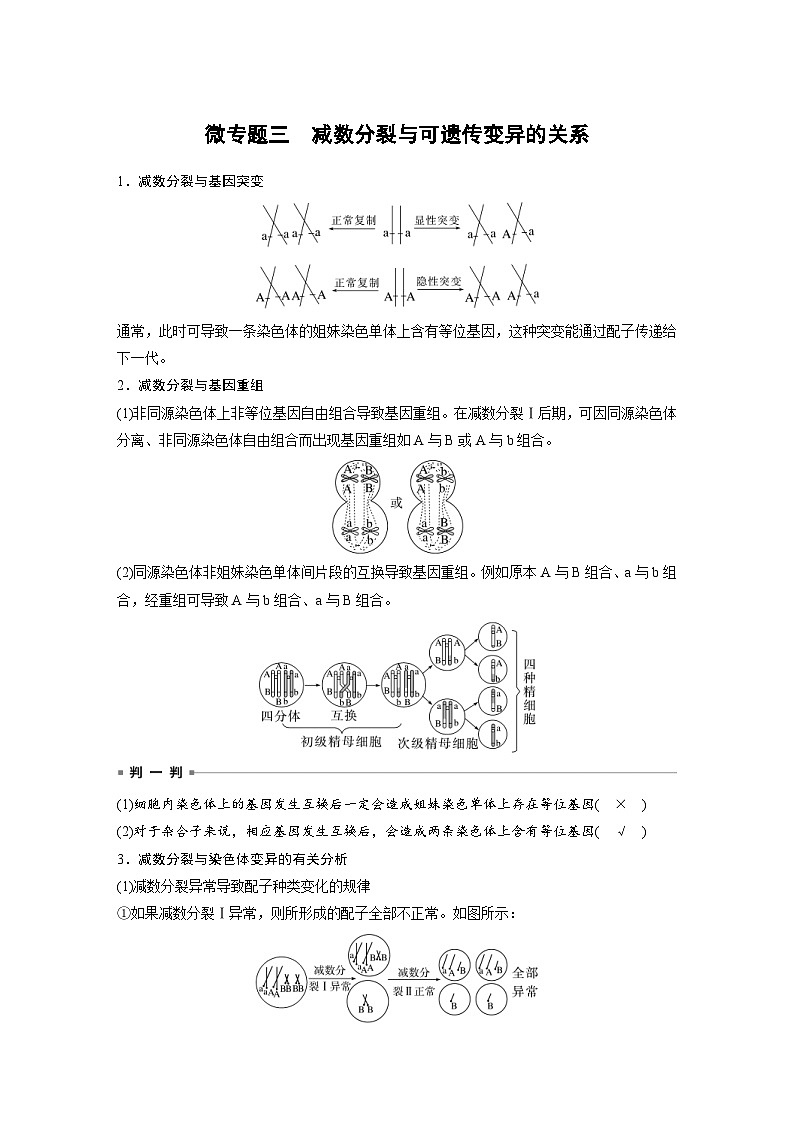 新高考生物一轮复习考点梳理讲义 第4单元 微专题三 减数分裂与可遗传变异的关系(含解析)01