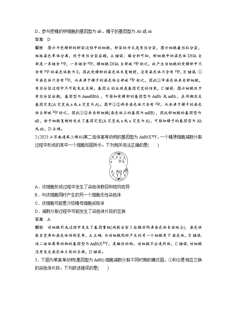 新高考生物一轮复习考点梳理讲义 第4单元 微专题三 减数分裂与可遗传变异的关系(含解析)03