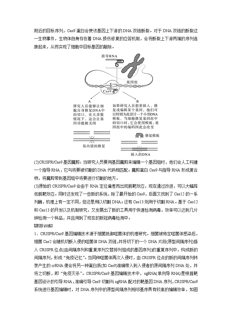 新高考生物一輪復(fù)習(xí)考點(diǎn)梳理講義 第10單元　解惑練5　CRISPR Cas9技術(shù)（含解析）第2頁(yè)