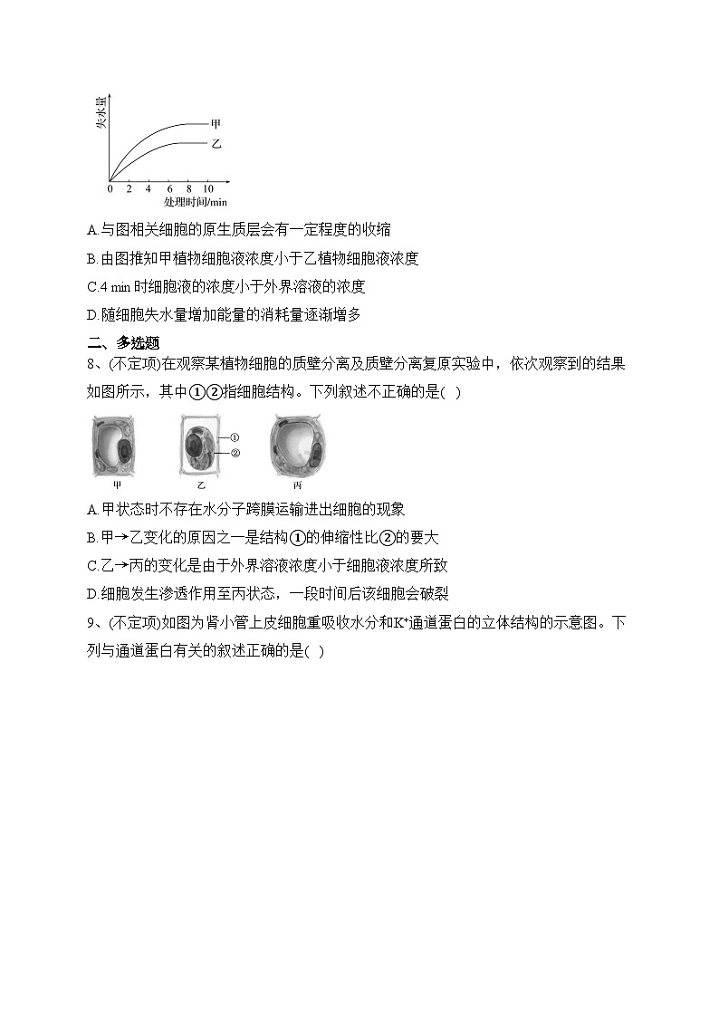 4.1被动运输(课时检测)-高中生物人教版(2019)必修1(含答案)第3页