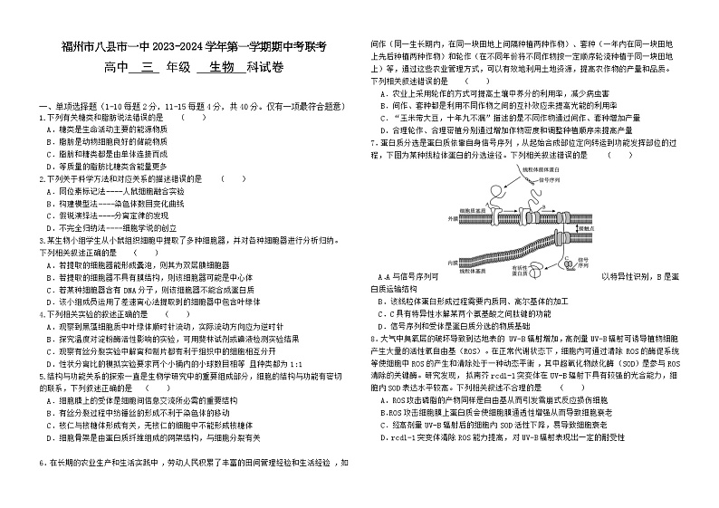 2024福州八县一中高三上学期11月期中联考试题生物含答案第1页