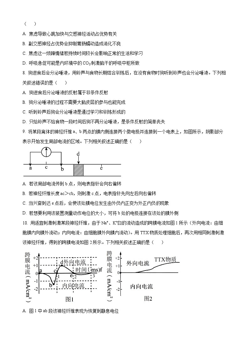 陕西省榆林市“府、靖、绥、横、定“五校联考2023-2024学年高二生物上学期期中考试试卷(Word版附解析)第3页