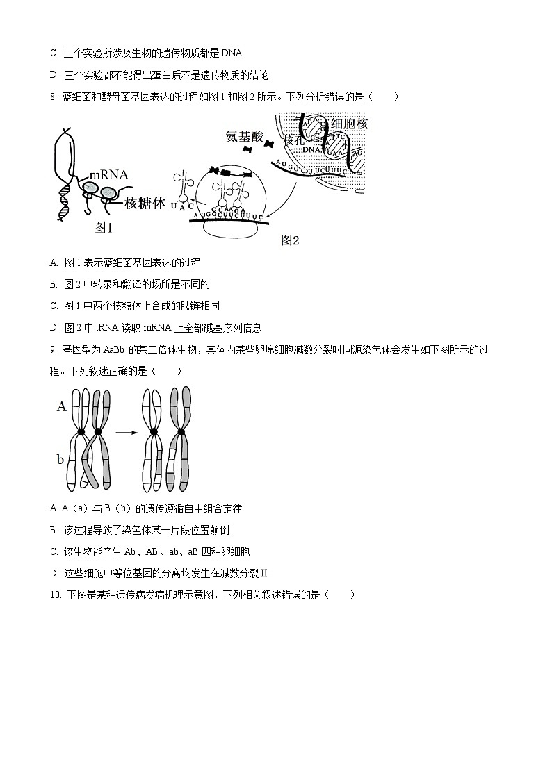山西省大同市2023-2024学年高三上学期10月月考生物试题(原卷版)第3页