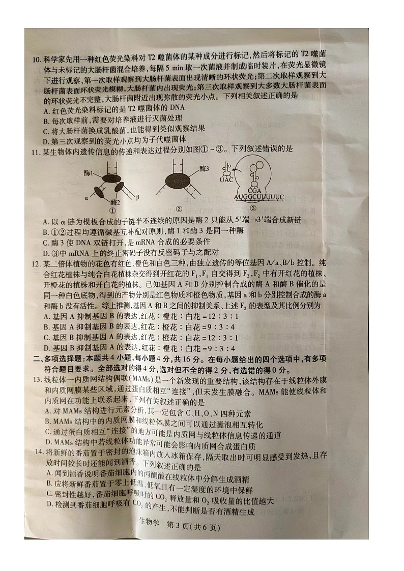 江西省赣州市部分学校联考2023-2024学年高三上学期11月期中生物试题(1)第3页