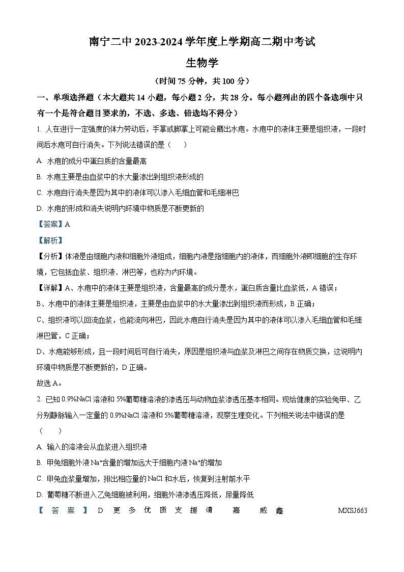 广西壮族自治区南宁市二中2023-2024学年高二上学期期中生物试题(解析版)01