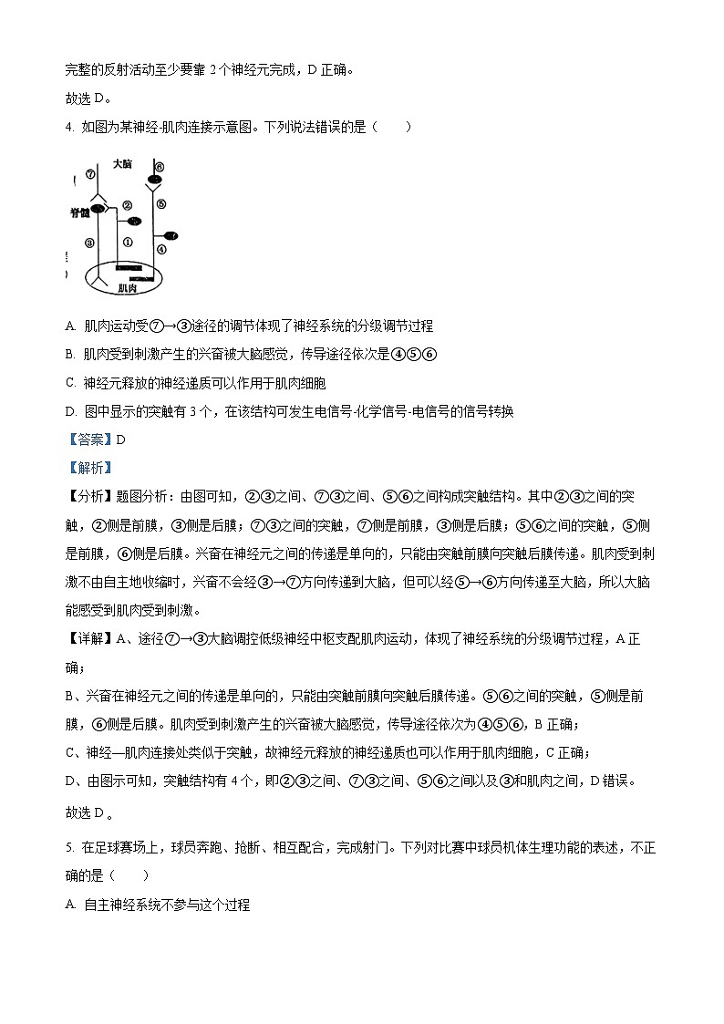 广西壮族自治区南宁市二中2023-2024学年高二上学期期中生物试题(解析版)03