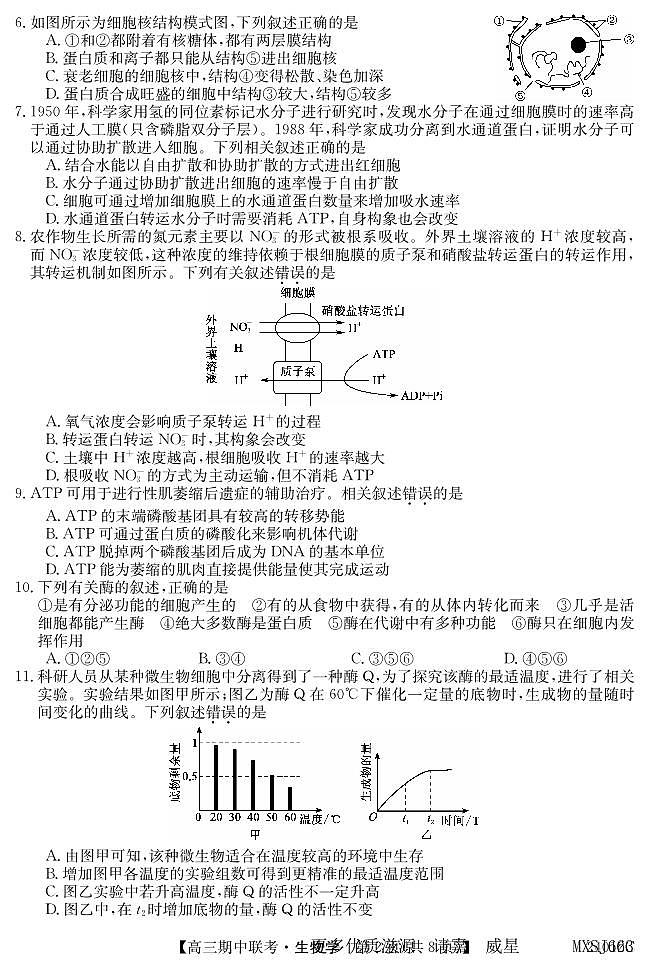 黑龙江省龙东地区2023-2024高三上学期期中考试生物试卷第2页
