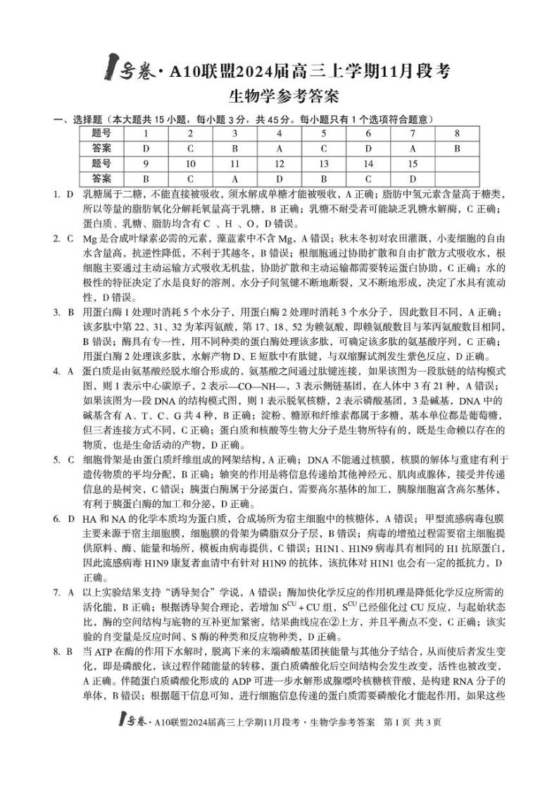 2024安徽省A10联盟高三上学期11月期中考试生物PDF版含答案01