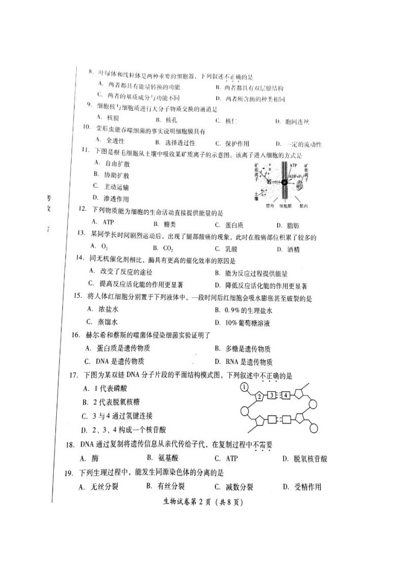 四川省高二学业水平考试生物试卷及答案02