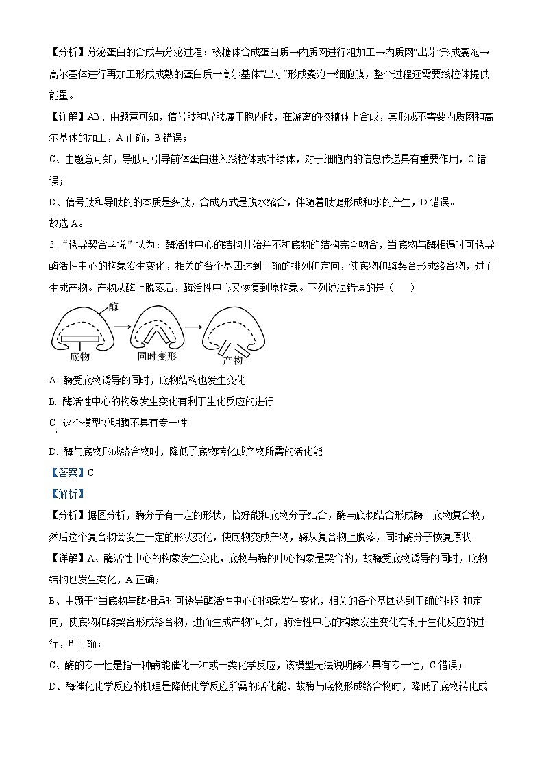 湖北省武汉市华中师范大学第一附属中学2023-2024学年高三上学期期中生物试题(Word版附解析)02